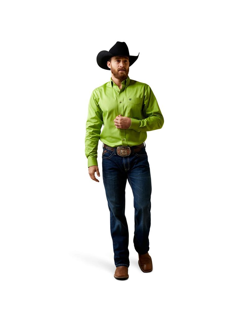 Chemises De Costume Ariat Team Logo Twill Fitted Vert | XGS-0457145