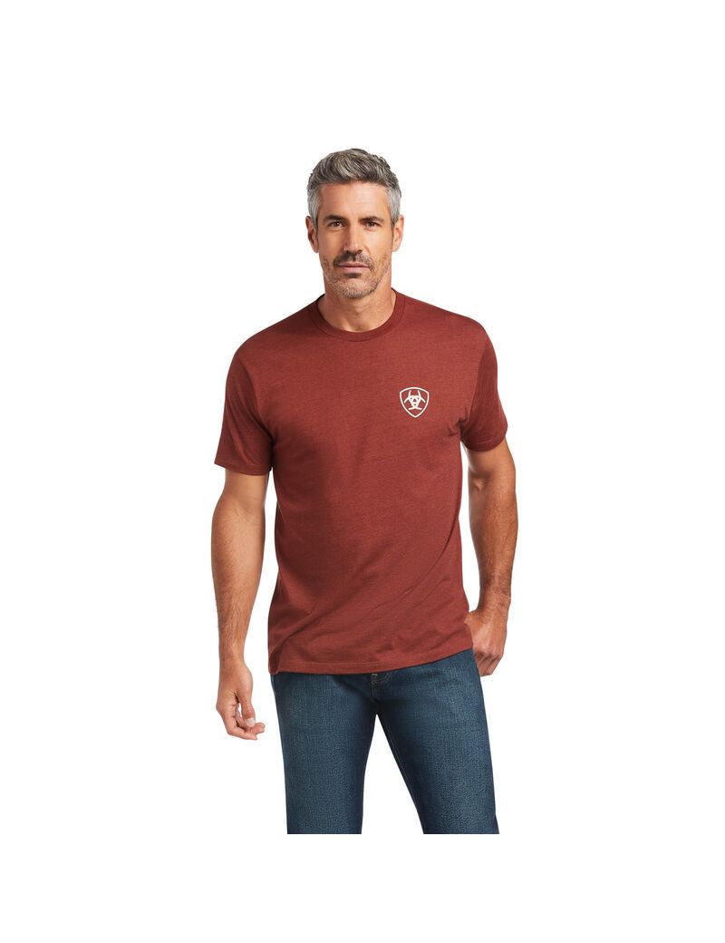 T Shirts Ariat Farm Rouge | HEV-7977666