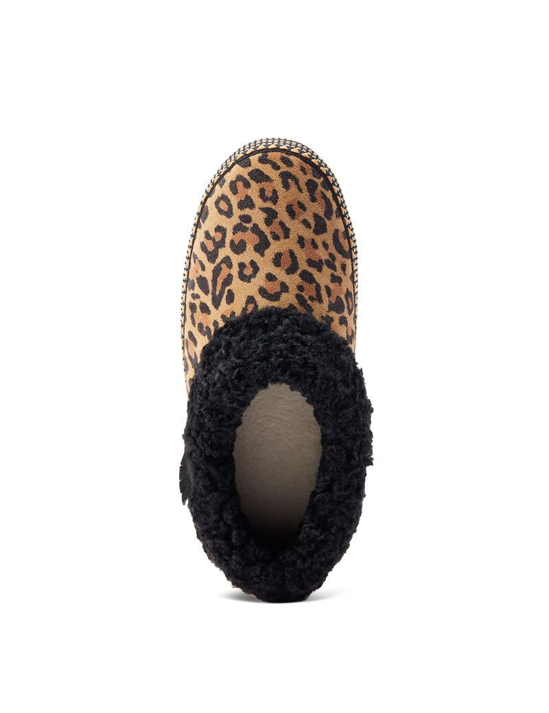 Chaussons Ariat Melody Leopard | CRU-0256289