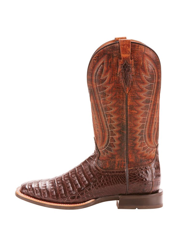 Bottes Western Ariat Double Down Multicolore | BMX-5059162