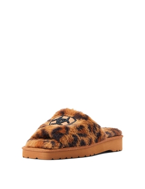 Chaussons Ariat Cozy Chic Square Embout Leopard | FXF-9577442