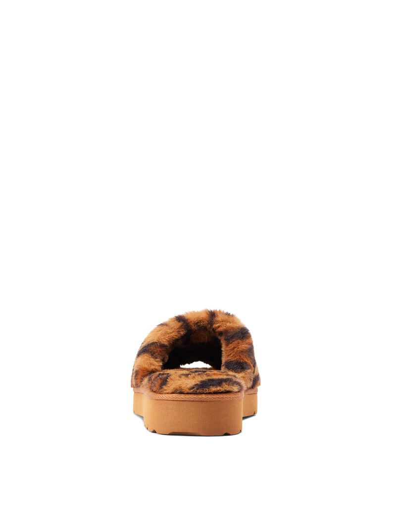 Chaussons Ariat Cozy Chic Square Embout Leopard | FXF-9577442