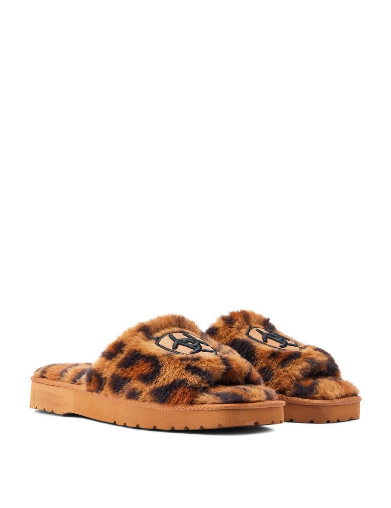 Chaussons Ariat Cozy Chic Square Embout Leopard | FXF-9577442