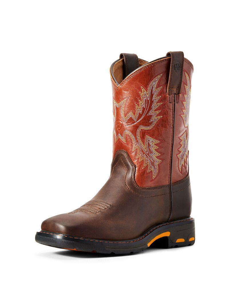 Bottes Western Ariat Workhog Larges Square Embout Multicolore | NNZ-5698081