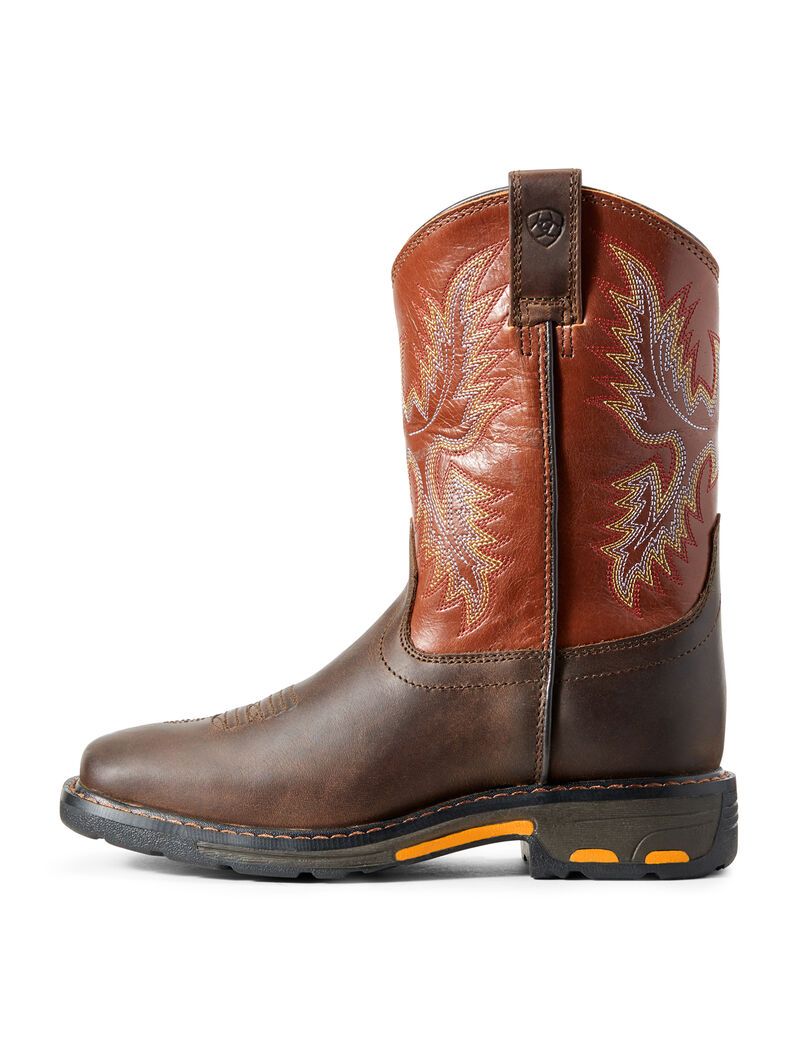 Bottes Western Ariat Workhog Larges Square Embout Multicolore | NNZ-5698081