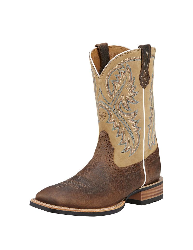 Bottes Western Ariat Quickdraw Multicolore | TKO-3112251