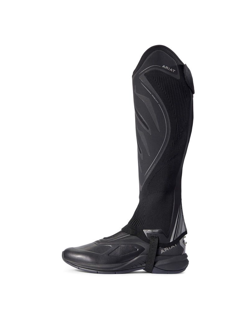 Bottes D'équitation Ariat Ascent Half Chap Noir | MUI-8953449