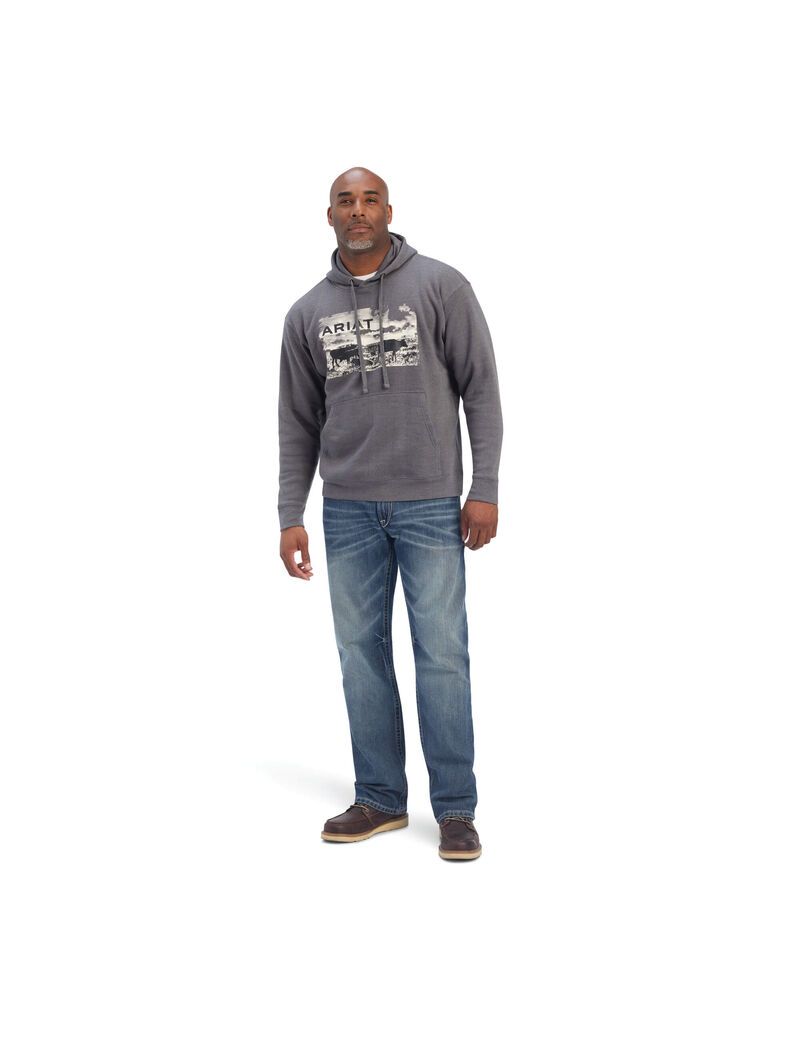 Sweats Ariat Pastures Grise | IBE-2427749