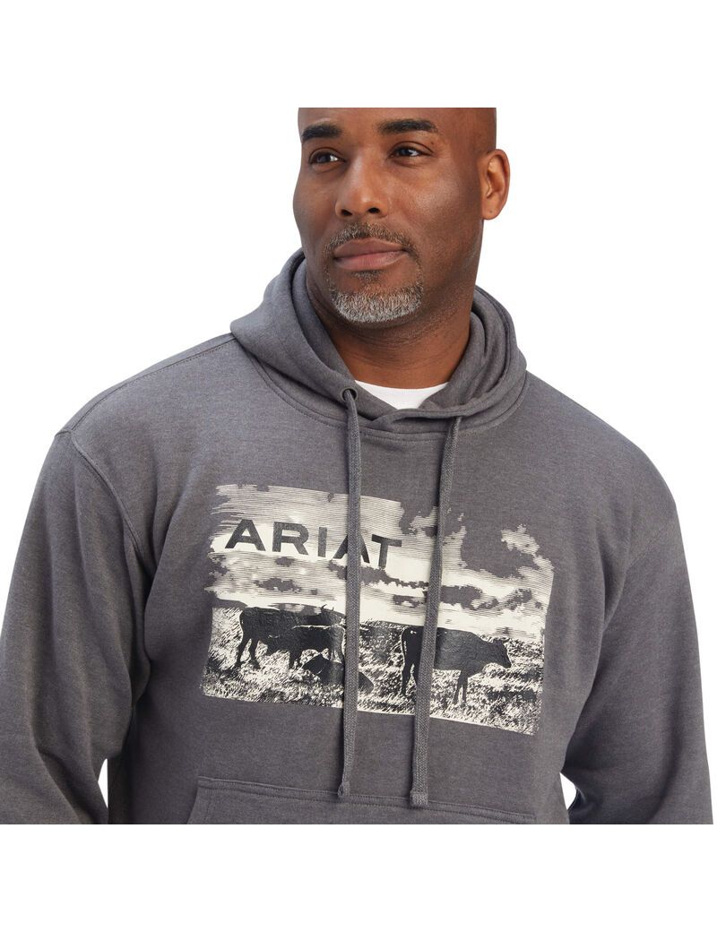 Sweats Ariat Pastures Grise | IBE-2427749