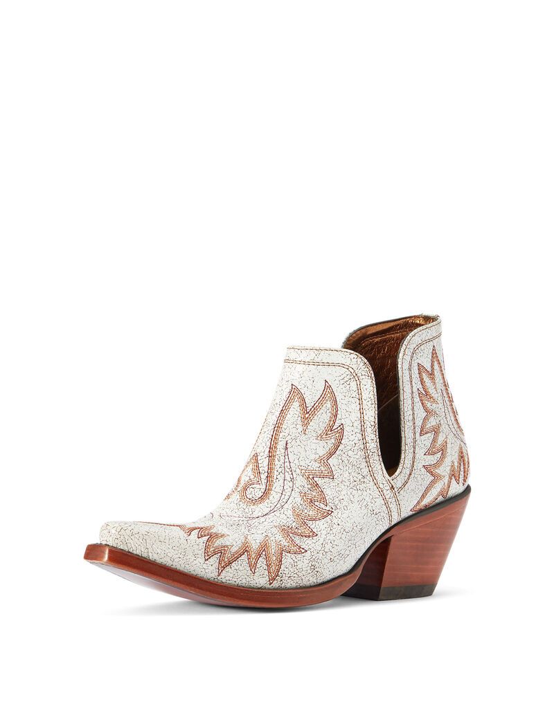 Bottines Ariat Dixon Western Multicolore | WRI-8367605