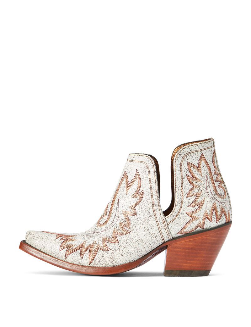 Bottines Ariat Dixon Western Multicolore | WRI-8367605