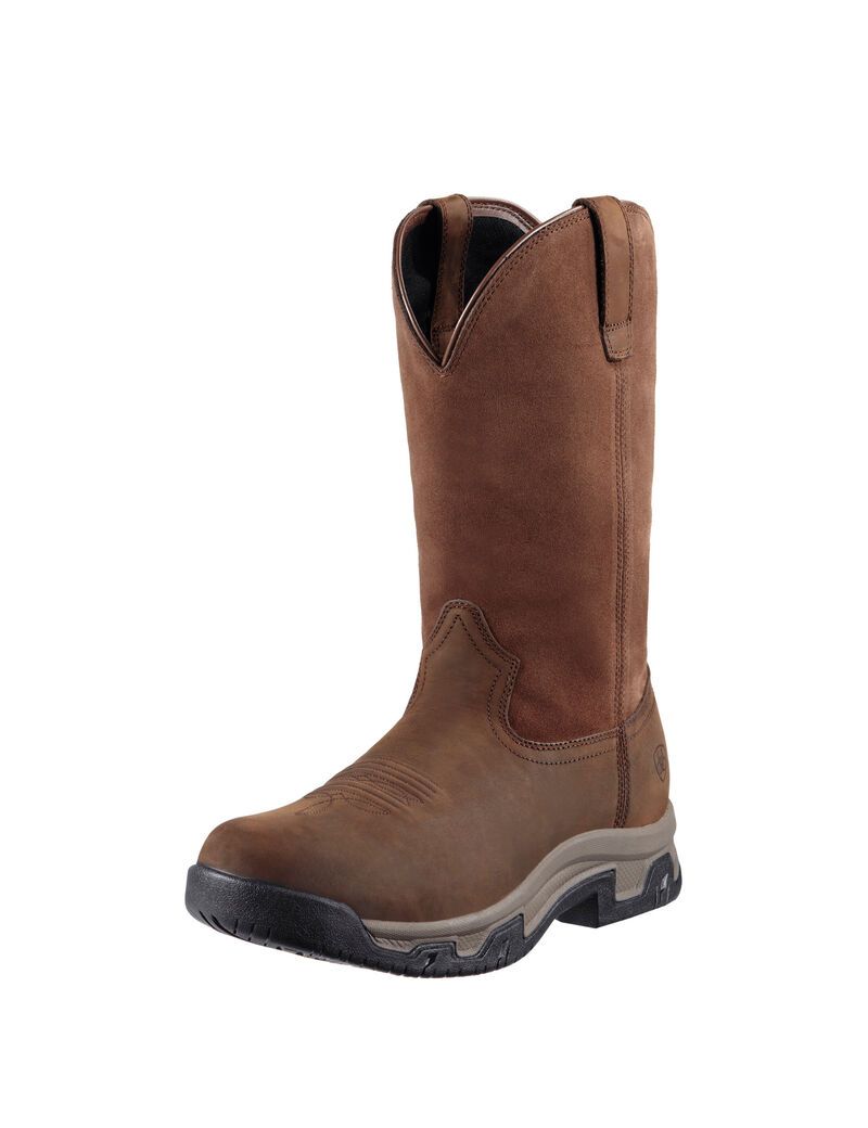 Bottes D'équitation Ariat Terrain Pull On Imperméables Marron | UNF-5240702