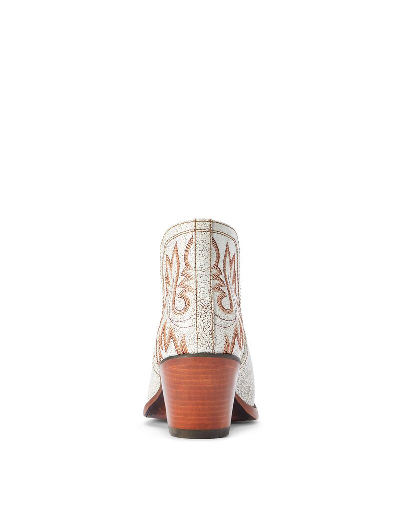 Bottines Ariat Dixon Western Multicolore | WRI-8367605