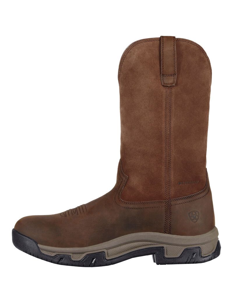 Bottes D'équitation Ariat Terrain Pull On Imperméables Marron | UNF-5240702