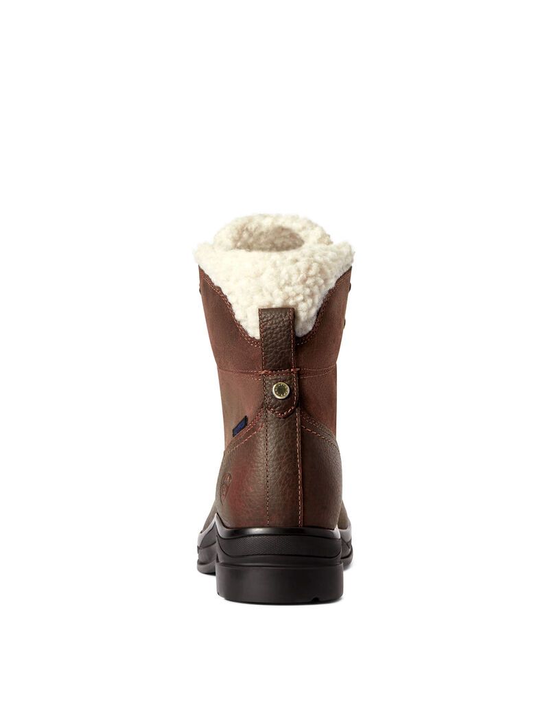 Bottes D'équitation Ariat Harper Imperméables Marron Foncé | VWB-6091276