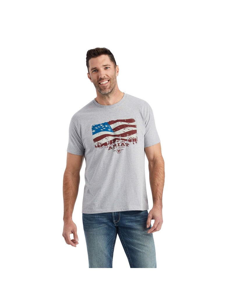 T Shirts Ariat Flagscape Multicolore | RGE-5217235