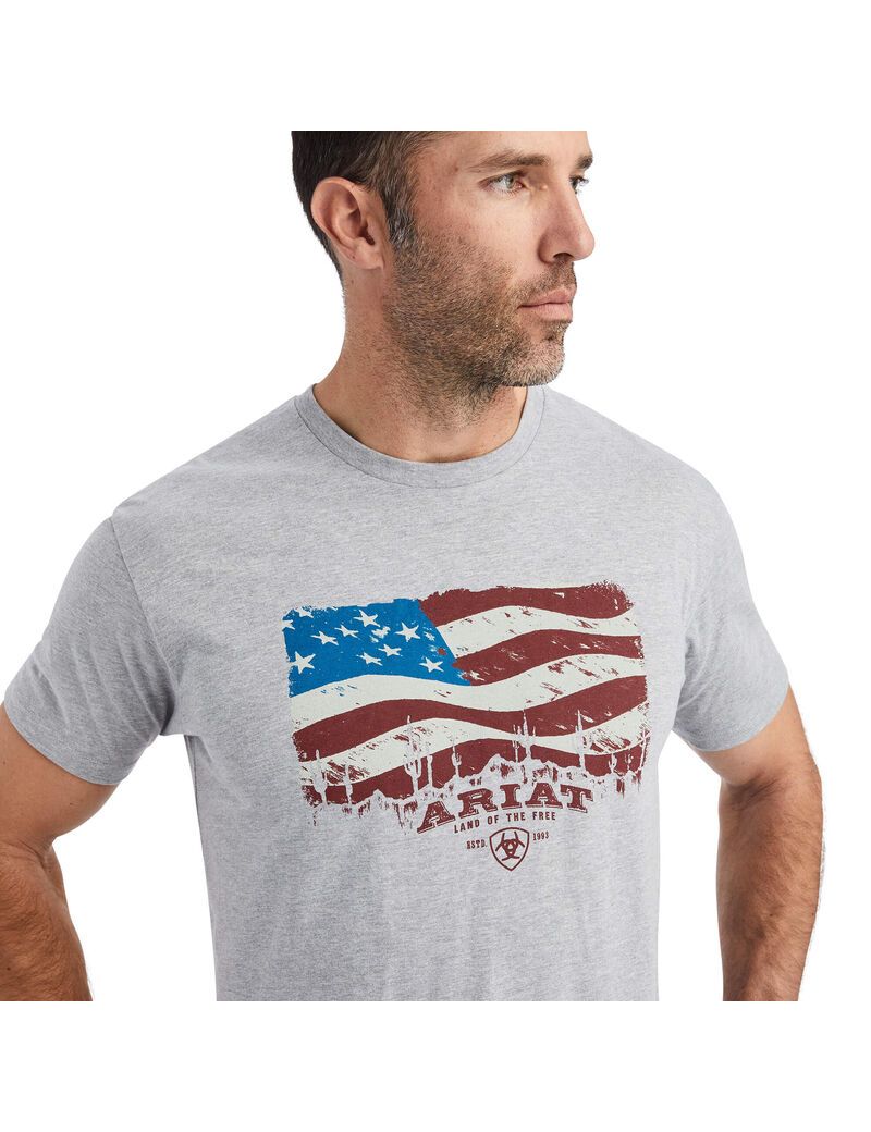 T Shirts Ariat Flagscape Multicolore | RGE-5217235