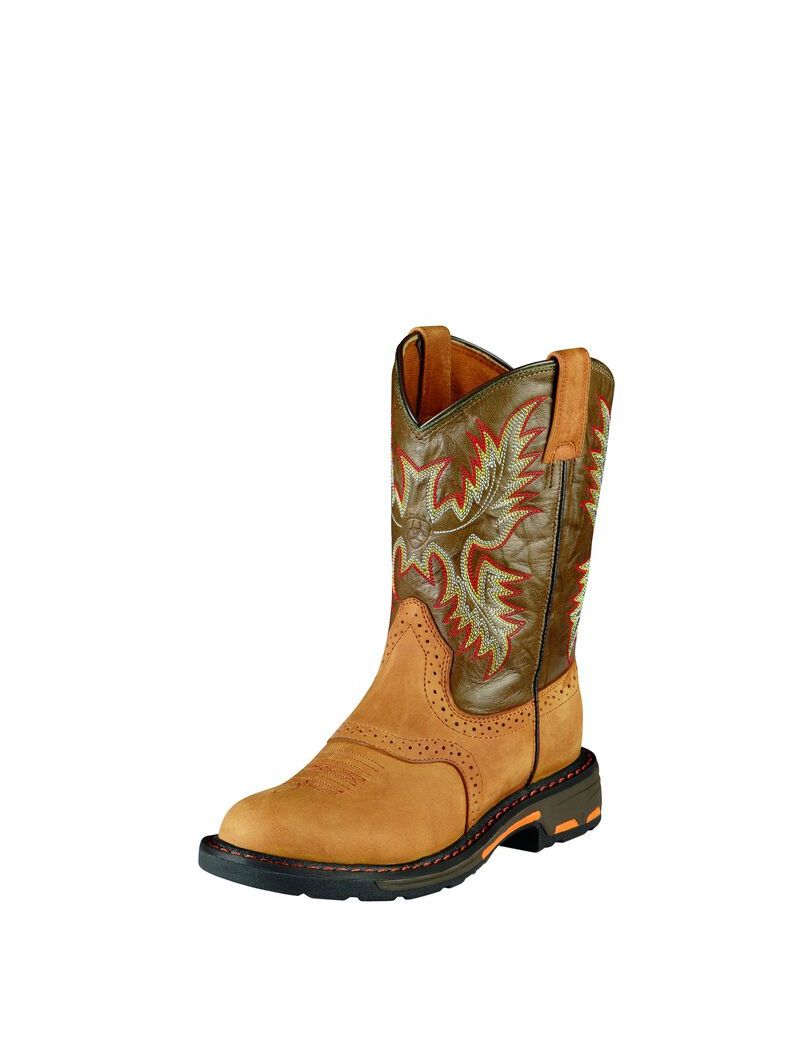 Bottes Western Ariat Workhog Pull On Multicolore | DTY-4991648