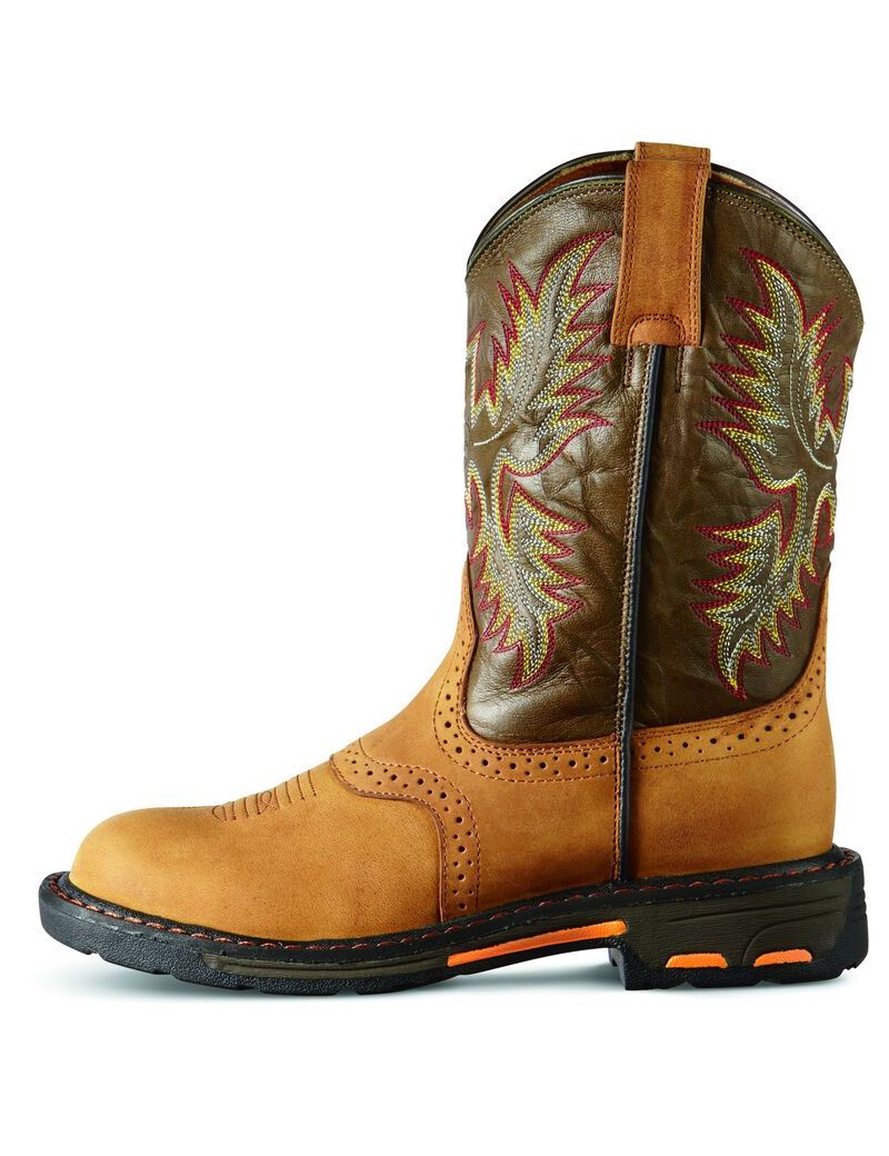 Bottes Western Ariat Workhog Pull On Multicolore | DTY-4991648