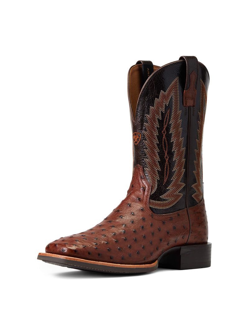 Bottes Western Ariat Quantum Primo Multicolore | AAB-9311694