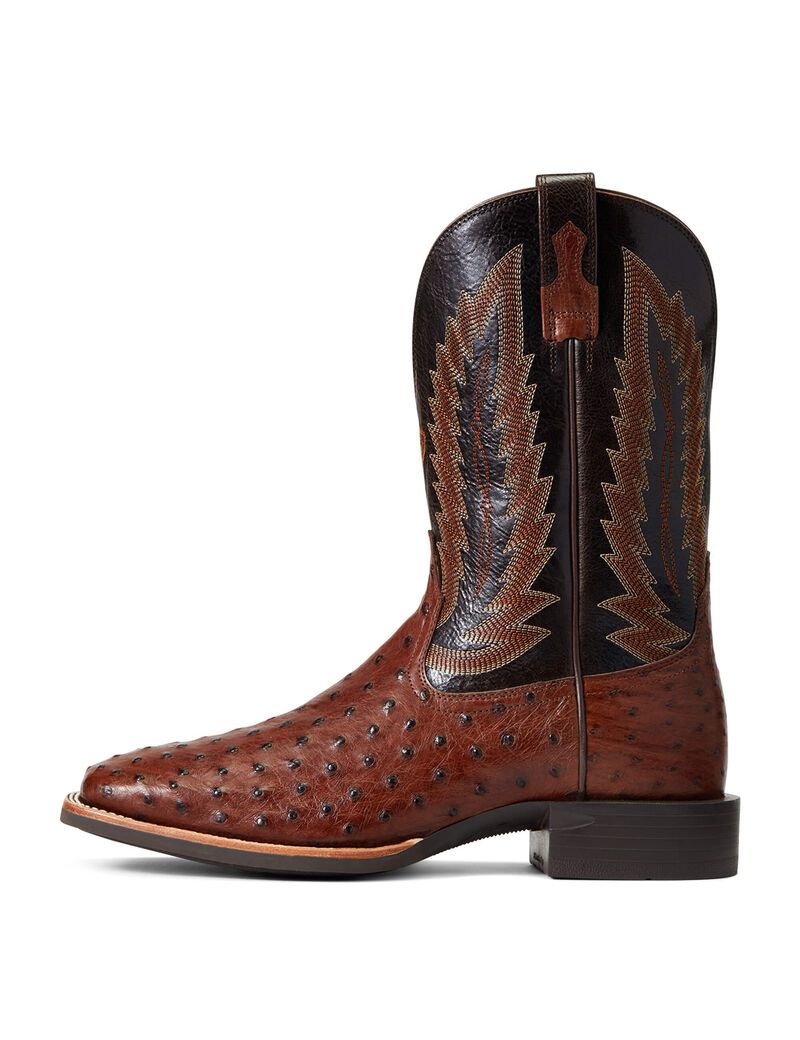 Bottes Western Ariat Quantum Primo Multicolore | AAB-9311694