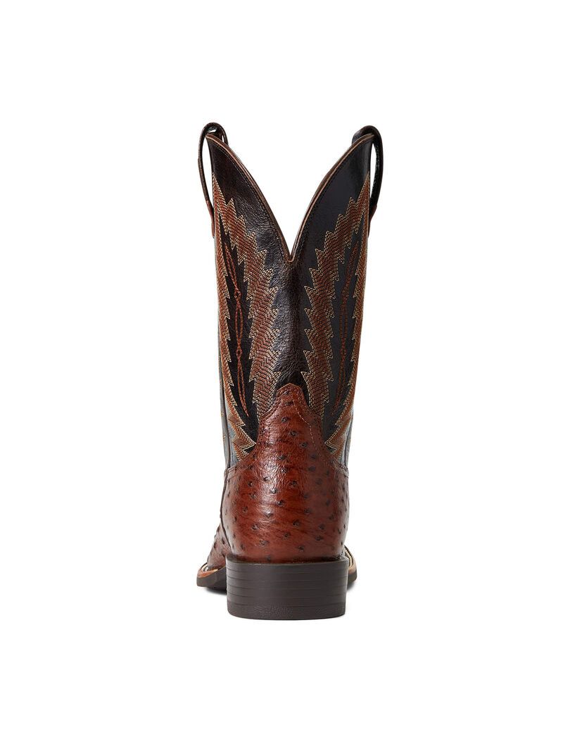 Bottes Western Ariat Quantum Primo Multicolore | AAB-9311694