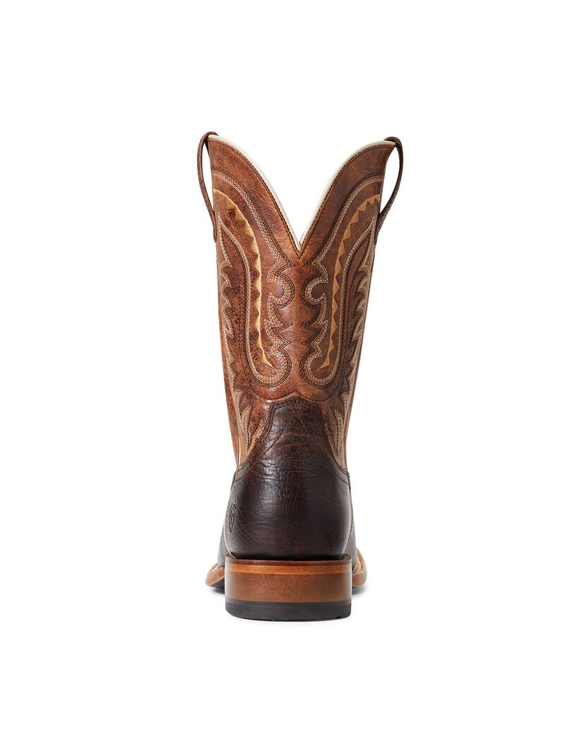 Bottes Western Ariat Parada Multicolore | BSB-0900475