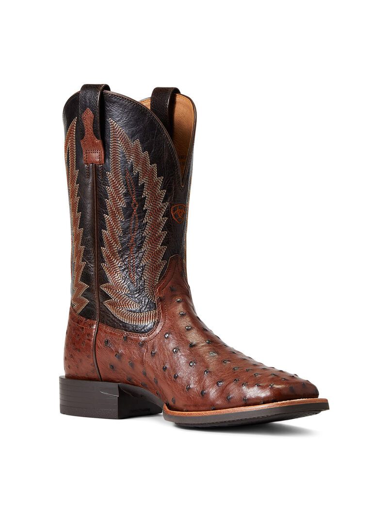 Bottes Western Ariat Quantum Primo Multicolore | AAB-9311694