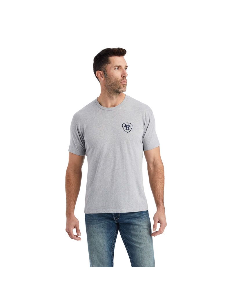 T Shirts Ariat Lucky Horseshoe Grise | FDU-5515480