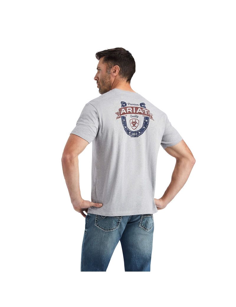 T Shirts Ariat Lucky Horseshoe Grise | FDU-5515480