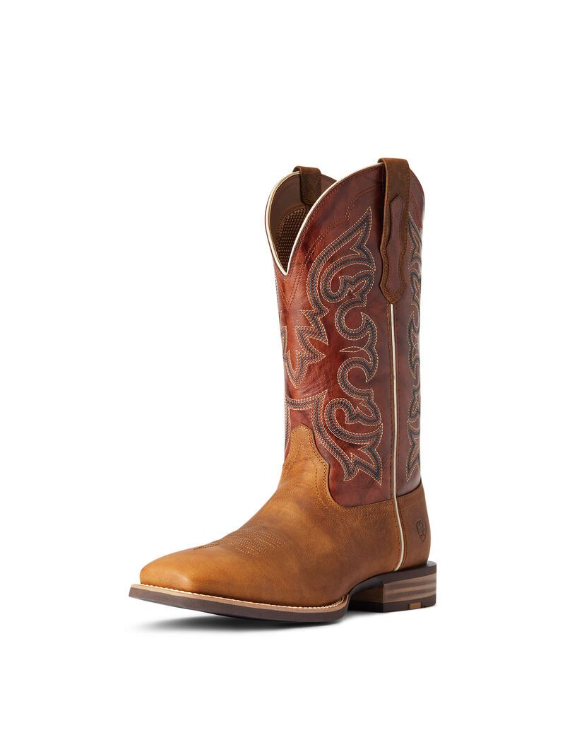 Bottes Western Ariat Everlite Go Getter Multicolore | TUN-4083690