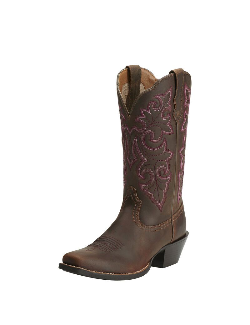 Bottes Western Ariat Round Up Square Embout Marron | VBM-0215190