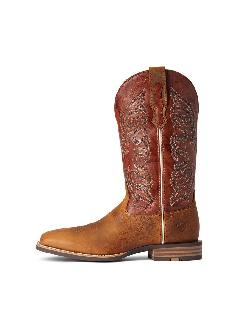 Bottes Western Ariat Everlite Go Getter Multicolore | TUN-4083690