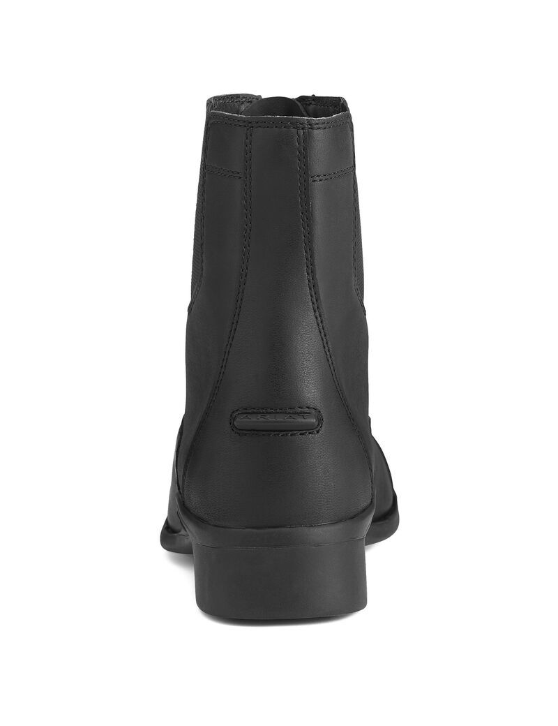 Bottes D'équitation Ariat Scout Zip Paddock Noir | AIM-7369005