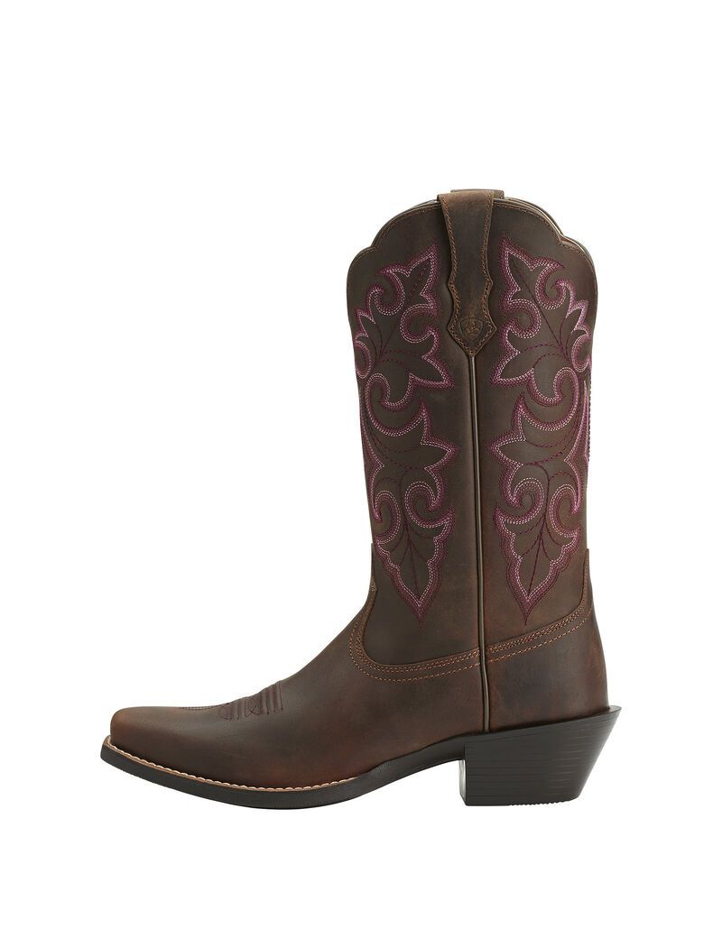 Bottes Western Ariat Round Up Square Embout Marron | VBM-0215190