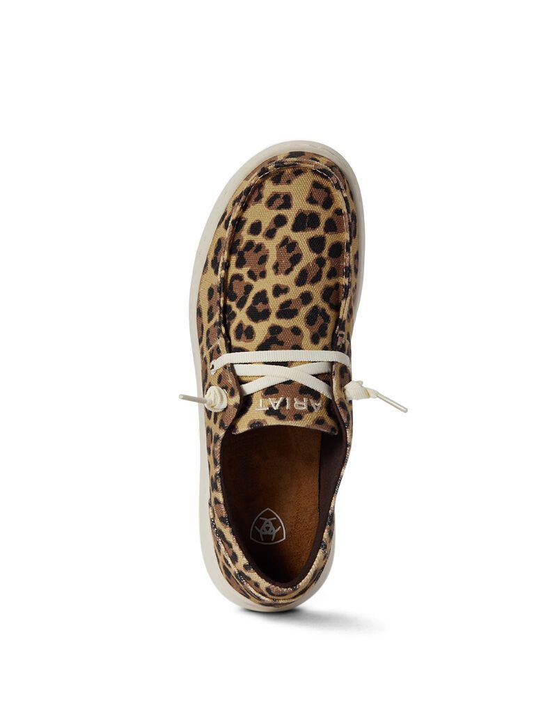 Baskets Ariat Hilo Leopard | NWN-2572573