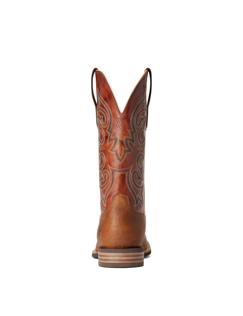 Bottes Western Ariat Everlite Go Getter Multicolore | TUN-4083690