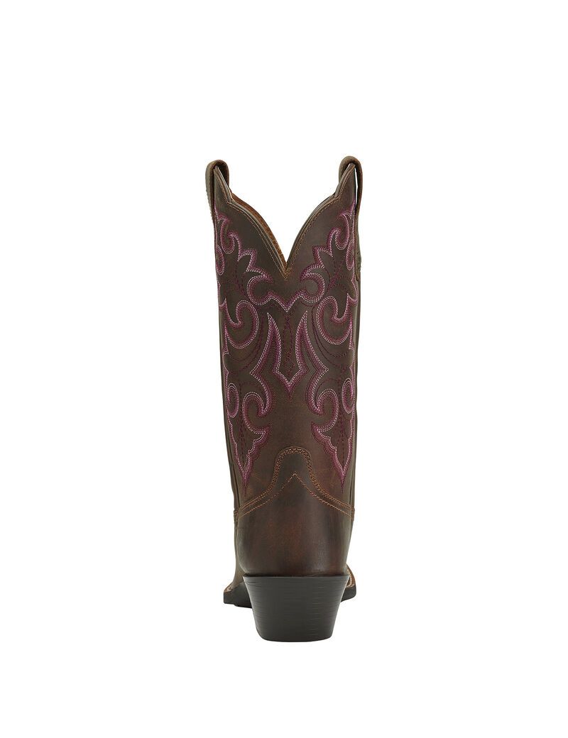 Bottes Western Ariat Round Up Square Embout Marron | VBM-0215190