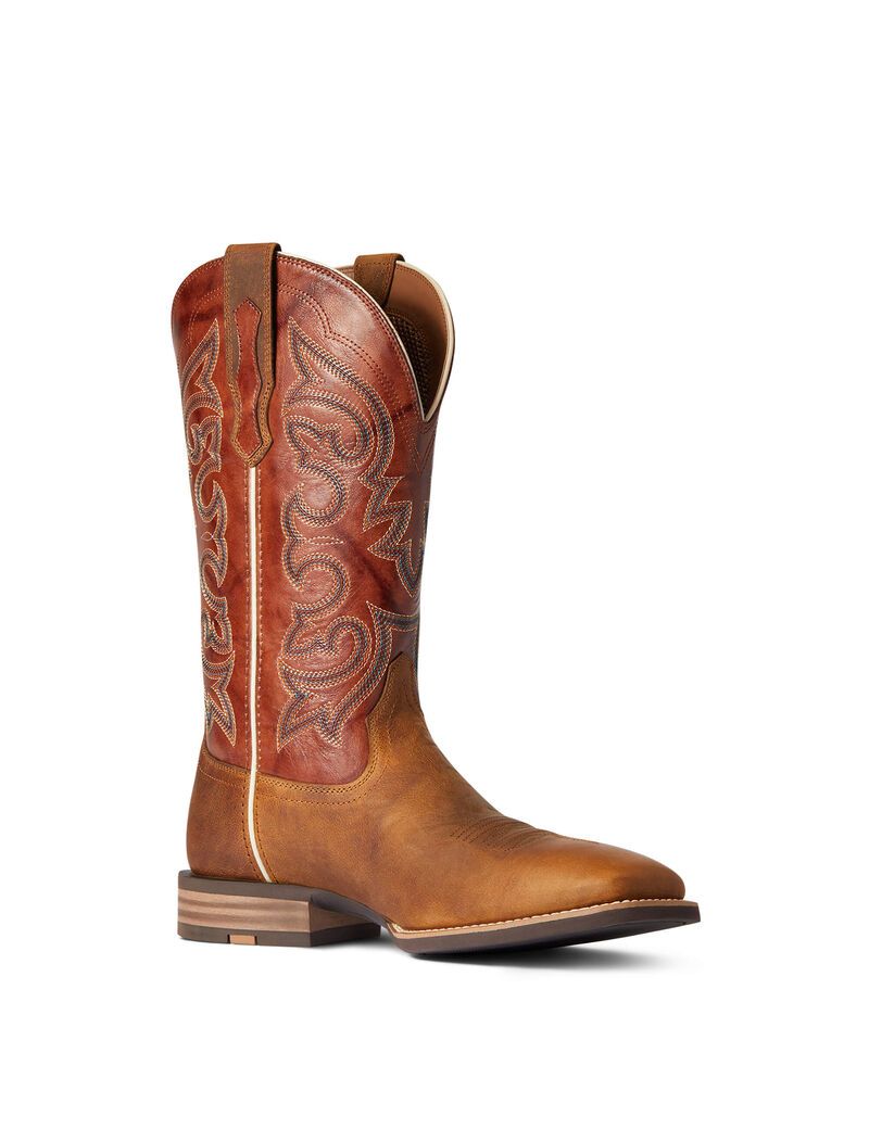 Bottes Western Ariat Everlite Go Getter Multicolore | TUN-4083690