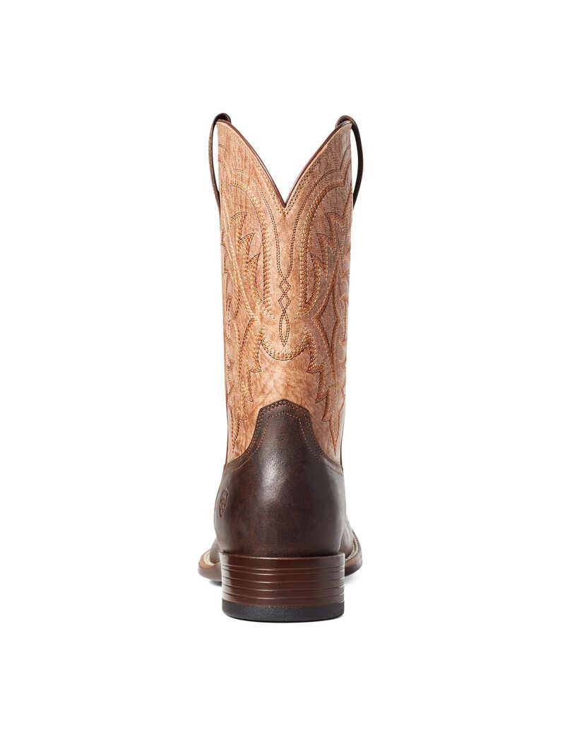 Bottes Western Ariat Ryden Ultra Multicolore | UPW-2989776