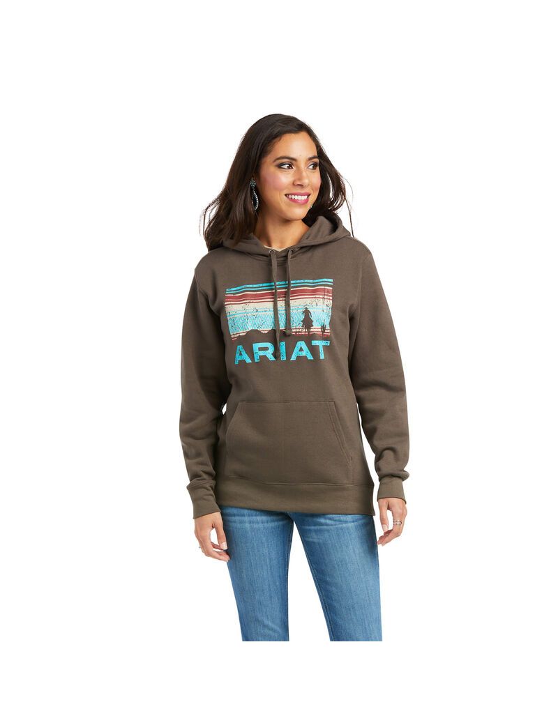 Sweat à Capuche Ariat REAL Arm Logo Multicolore | FXW-2867534