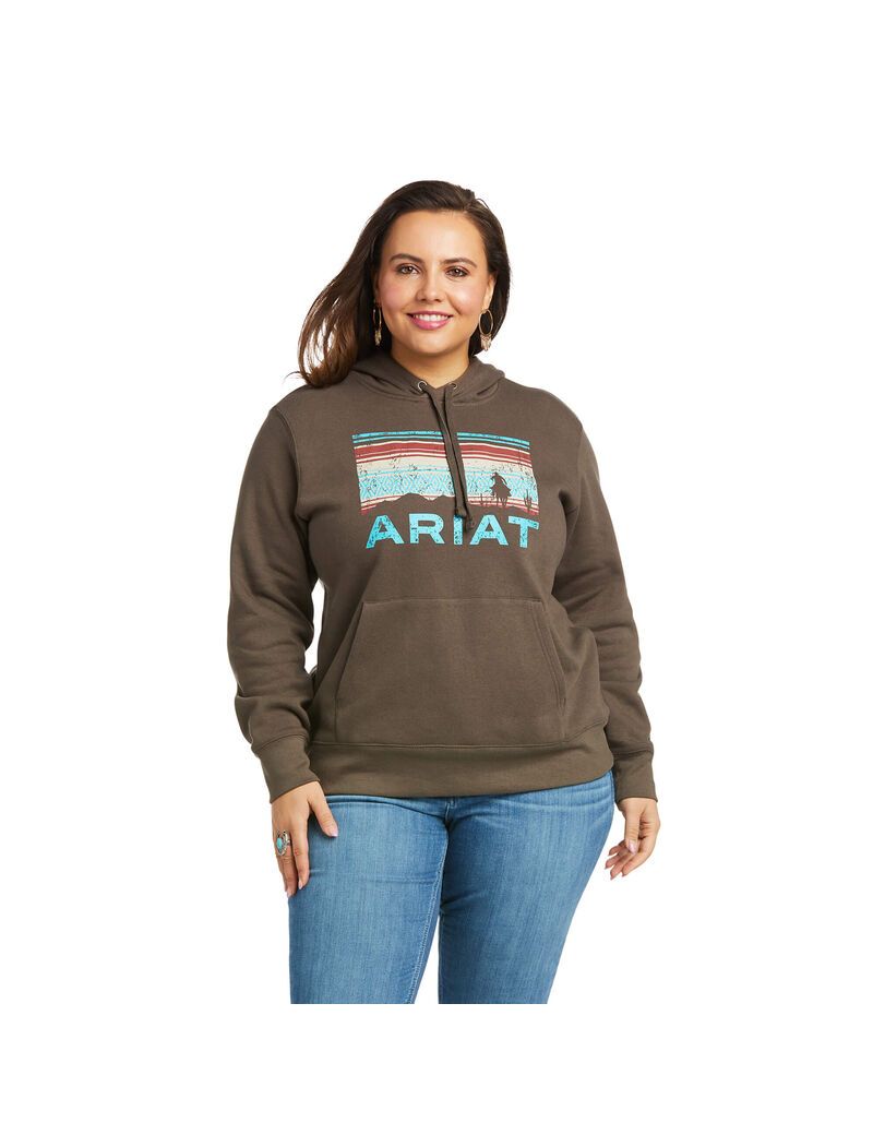 Sweat à Capuche Ariat REAL Arm Logo Multicolore | FXW-2867534