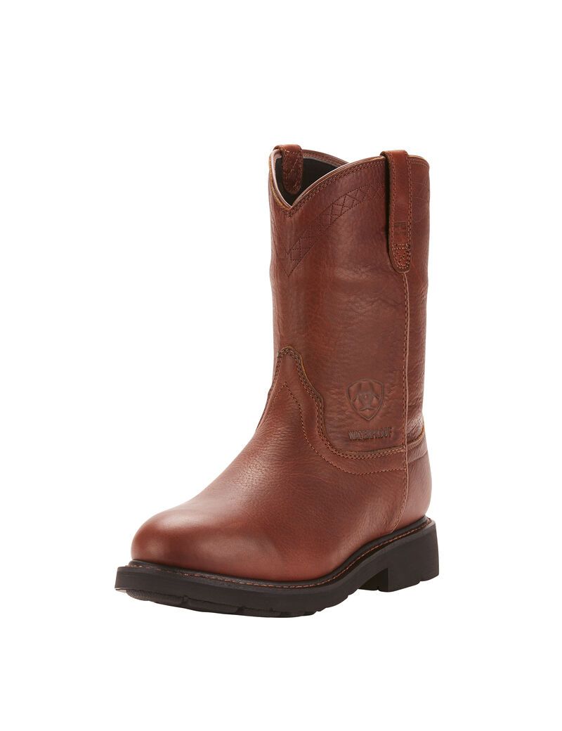 Bottes de Travail Ariat Sierra Imperméables Multicolore | JJS-7883894