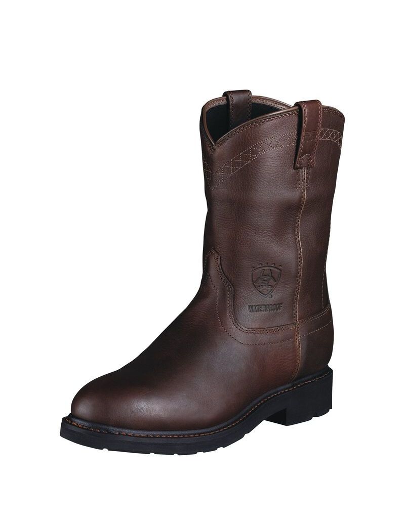 Bottes de Travail Ariat Sierra Imperméables Multicolore | JJS-7883894