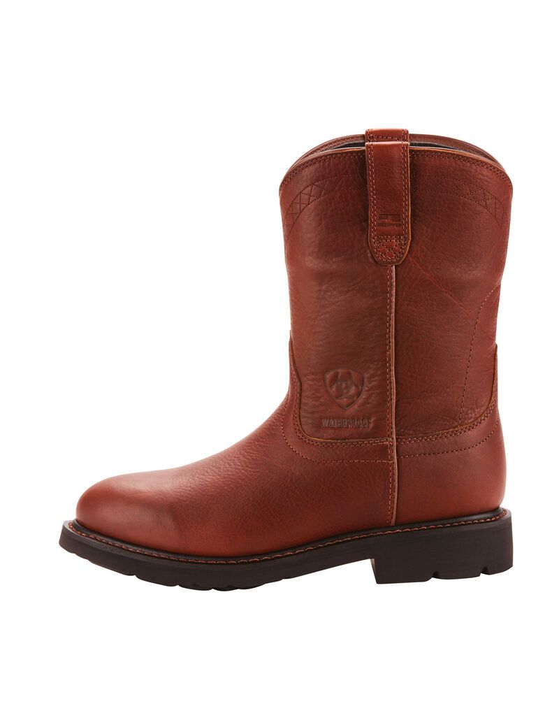 Bottes de Travail Ariat Sierra Imperméables Multicolore | JJS-7883894