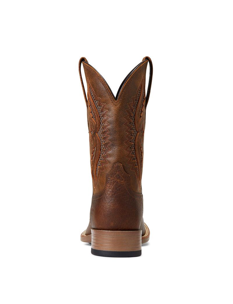 Bottes Western Ariat Rowder Venttek 360 Multicolore | WXR-8996549