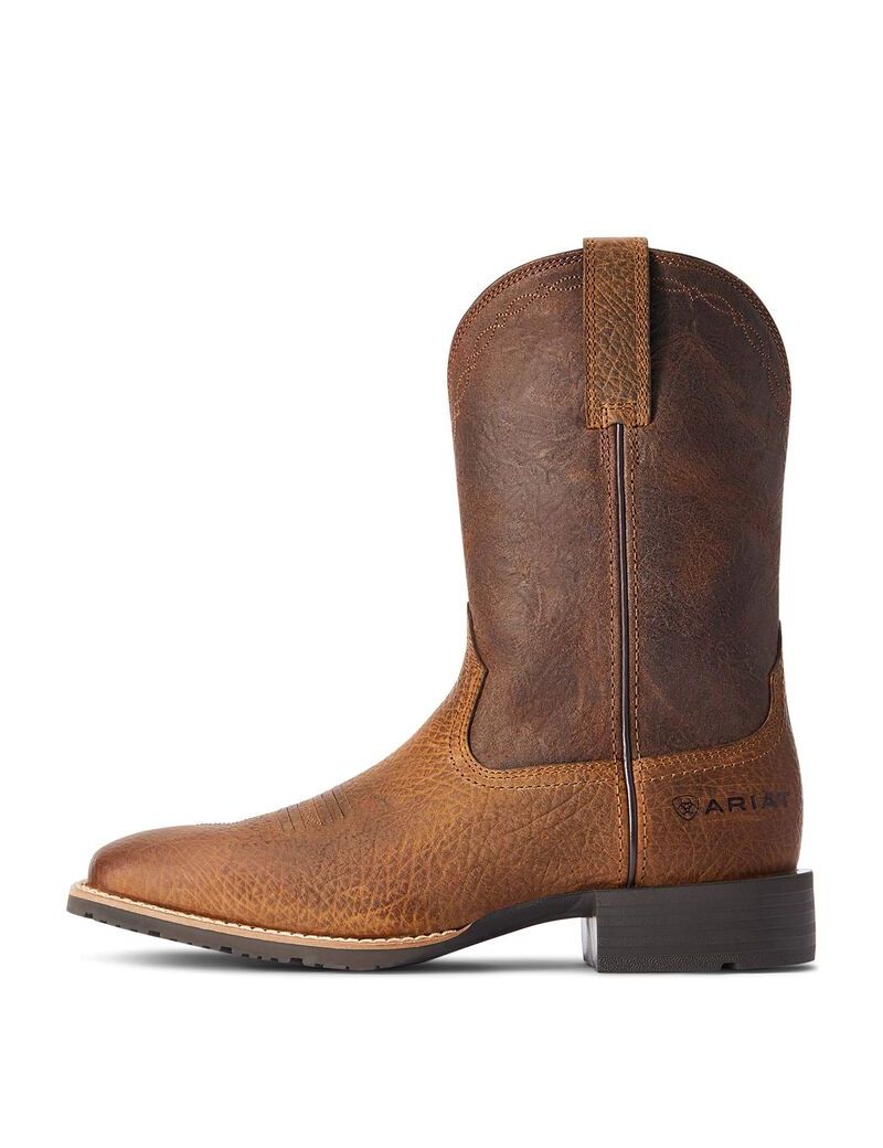 Bottes Western Ariat Hybride Grit Multicolore | DLP-9622189