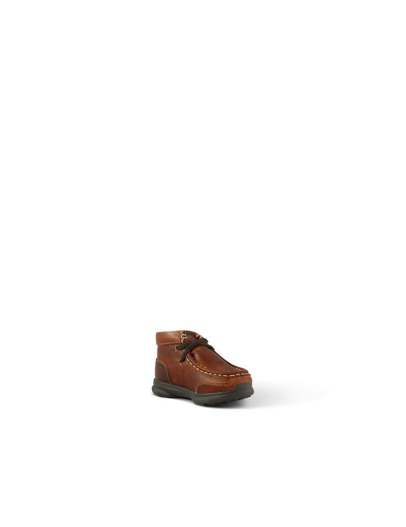 Chaussures Casual Ariat Toddler Lil' Stompers Garrison Spitfire Marron | EEG-2515112