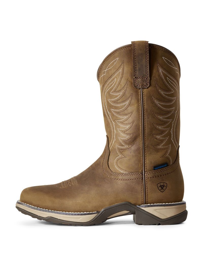 Bottes Western Ariat Anthem Imperméables Marron | RZG-3208375