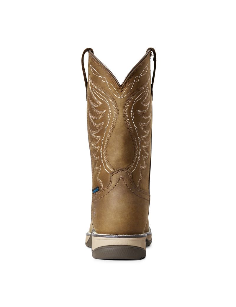 Bottes Western Ariat Anthem Imperméables Marron | RZG-3208375